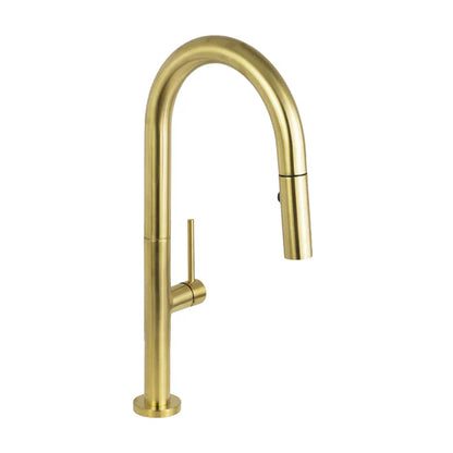 Kodaen Elegante Pull-Down Dual Spray Kitchen Faucet F23304