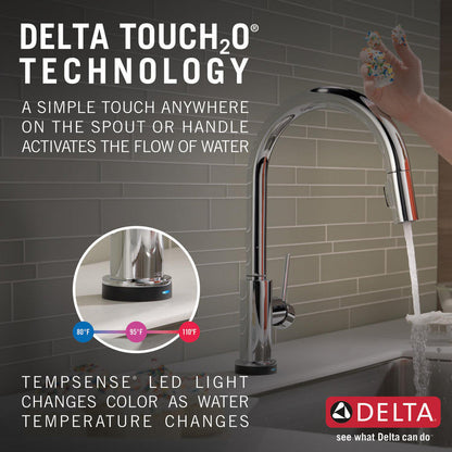 Delta TRINSIC Single Handle Pull-Down Kitchen Faucet with Touch2O Technology- Chrome