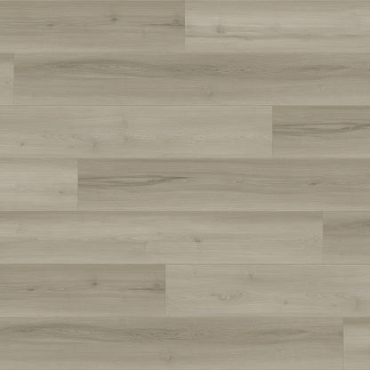 Power Dekor Basik3 collection Laminate Flooring (48" X 6.75" X 12 mm)