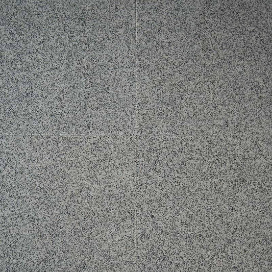 MSI Bianco Catalina Polished Granite Tile 12" x 12" 10mm - Renoz