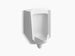 Kohler Bardon High-Efficiency Urinal (Heu), Washdown, Wall-Hung, 0.125 Gpf To 1.0 Gpf, Rear Spud