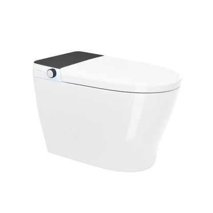 Equinox Smart Toilet All-In-One Integrated