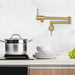 Kodaen Elegante Wallmount Kitchen Pot Filler - F22104