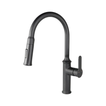 Kodaen Vuitton Pull-Down Dual Spray Kitchen Faucet F23900