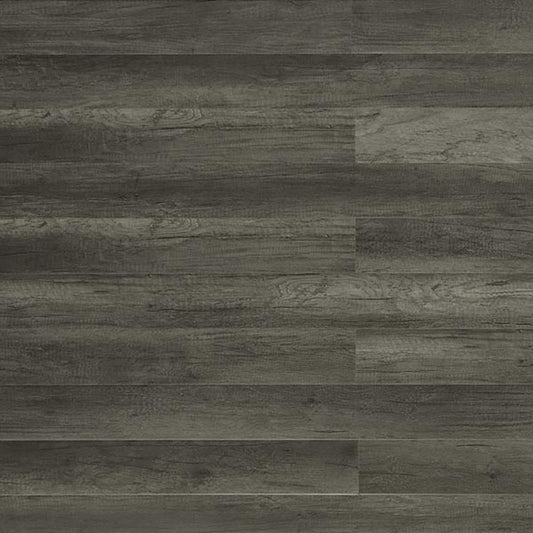 TriForest 12.3mm Laminate TF2502