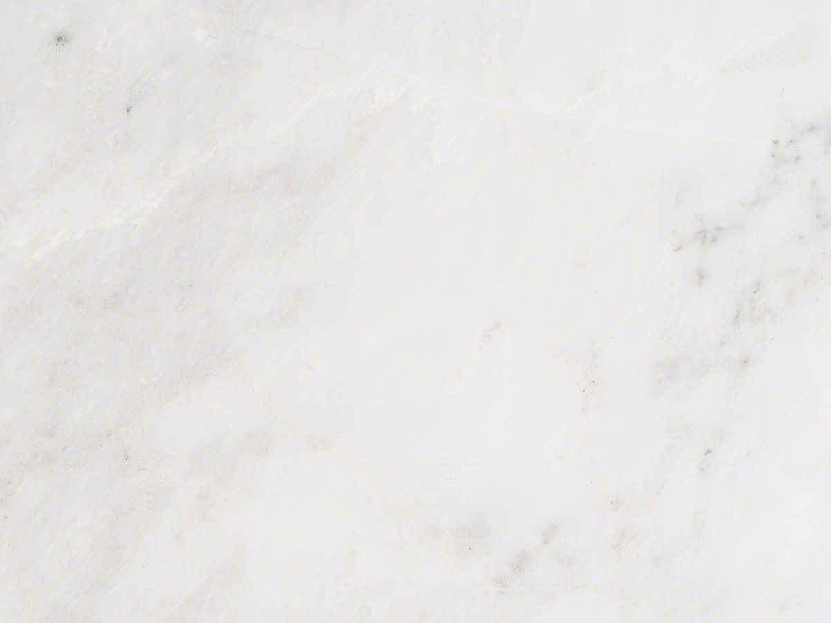 MSI Arabescato Carrara Marble