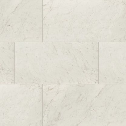 MSI KAYA CARRARA BIANCO 24X48 POLISHED