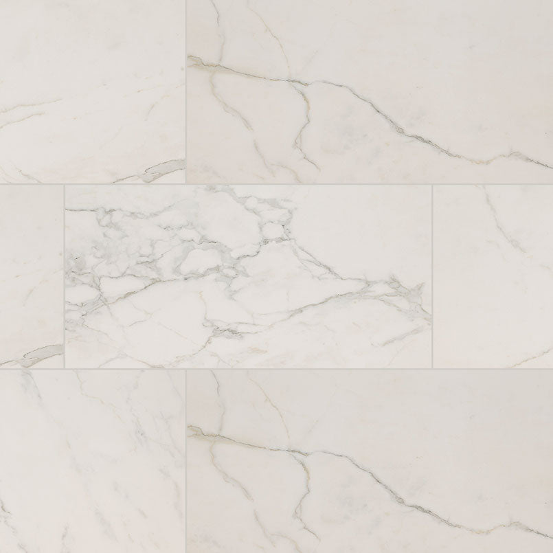 MSI Calacatta Isla Porcelain Tile 24 x 48 Polished