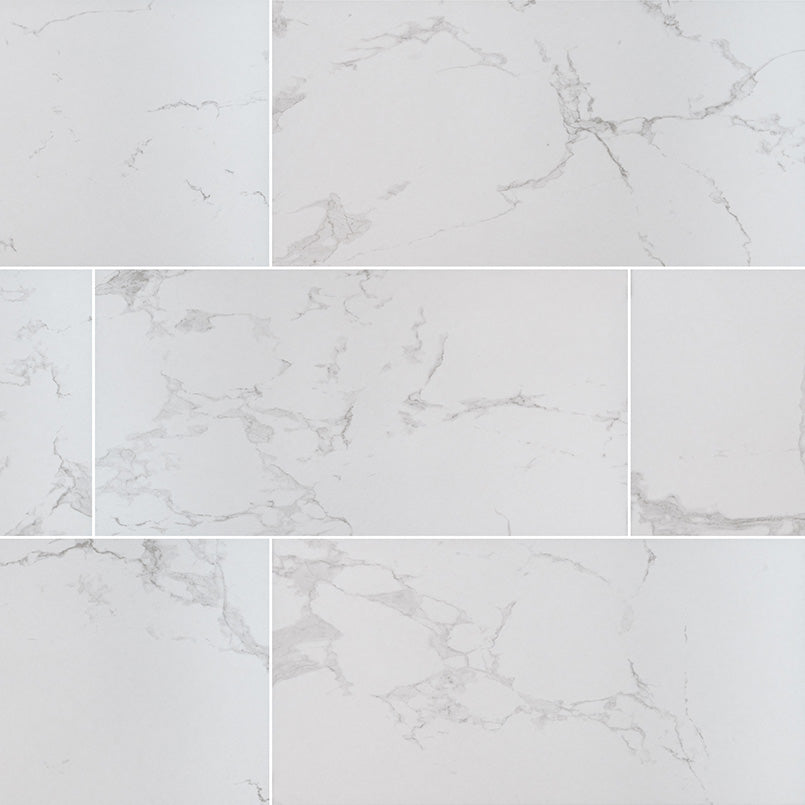 MSI Carrara Porcelain Tile 12 X 24 Matte