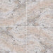 MSI Silver Travertine 12 X 12