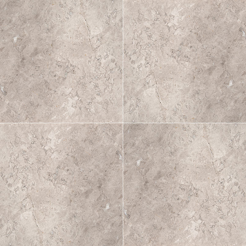 MSI Tundra Gray Marble 12 X 12 Polished