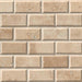 MSI Tuscany Ivory Subway Tile 2x4